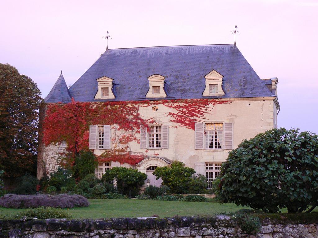 Gite Chateau De Chaintres Villa Dampierre-sur-Loire Room photo