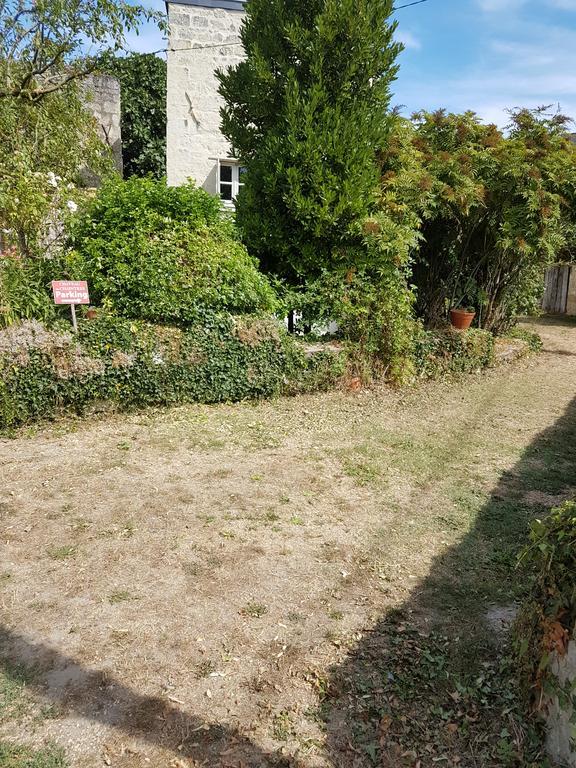 Gite Chateau De Chaintres Villa Dampierre-sur-Loire Exterior photo